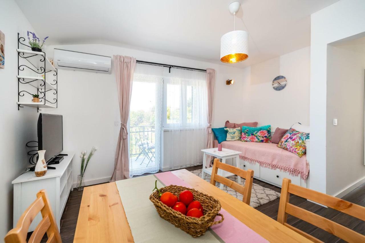 Vitez'S House Novigrad/Knight'S House Novigrad Apartment Novigrad  Екстериор снимка